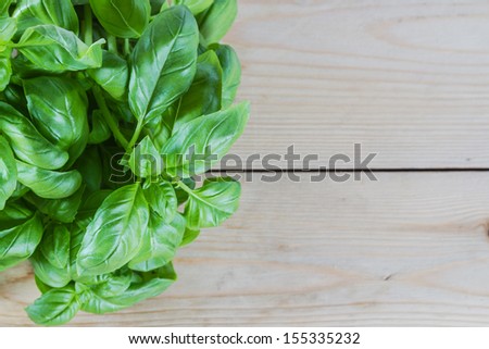 Basil plant against wooden background. Copy space.