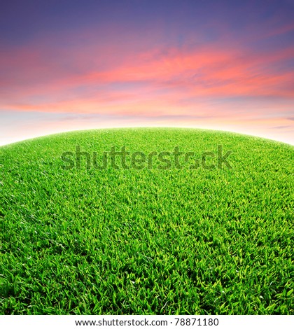 Green grass beautiful sky twilight red background for design