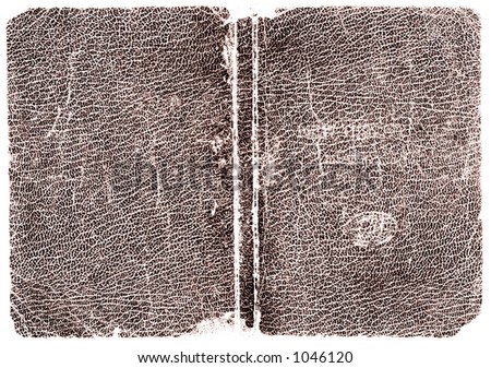 Rugged Brown leather book cover. Hi-res scanned & optimized.