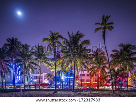 MIAMI, FLORIDA - JANUARY 6, 2014: Palm trees line Ocean Drive. The road is the main thoroughfare through South Beach.