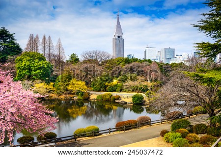 Shinjuku Gyoen Park, Tokyo, Japan in the spring cherry blossom season.