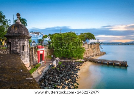 Similar – Image, Stock Photo San Juan, San Juan. Secadero de uvas, para la creación de pasas de uvas.     SECADERO; PRODUCTOS FRUTIHORTICOLAS; FRUTA SECA; PASAS DE UVA