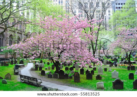 The Historic Trinity Church cemetery in New York, New York.