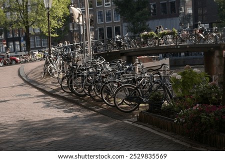 Similar – Image, Stock Photo Dozens of bikes are parked in the Dutch national park De Hoge Veluwe