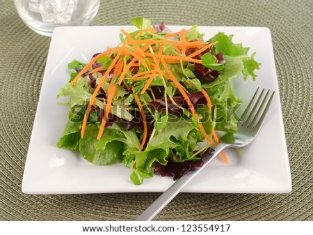 Small side salad with fresh baby greens