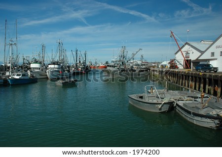 Fishing fleet at Steveston wharf