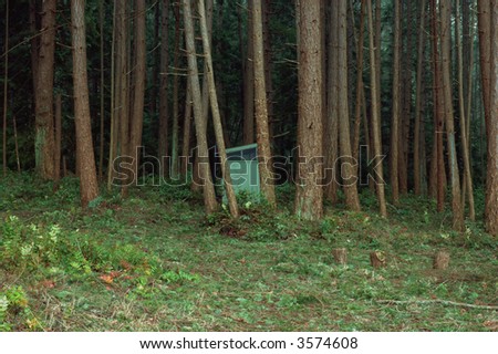 outhouse,woods,forest,simple,primitive,biffy,trees,tall,evergreens,green,toilet,basic,remote,building,shack,hut,bathroom
