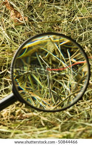 Finding the needle with magnifying glass in the haystack