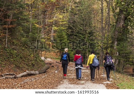 Four women taking a walk in the woods