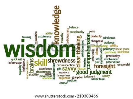 Word cloud containing terms related to wisdom, cleverness, intelligence, reason, shrewdness, skills, talent, wit, resourcefulness, foresight and knowledge.