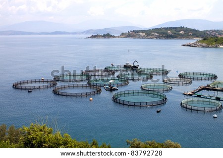 Marine open water fish farm