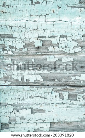 Old wooden background with peeled colour and cracks in mint green color.