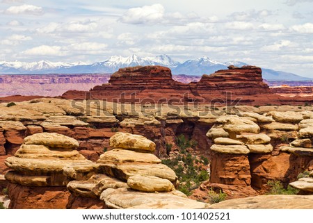 Bizarre Canyonlands National Park Desert Landscape