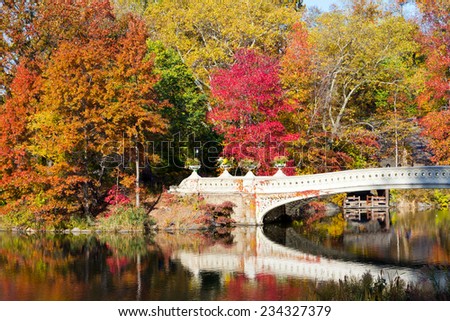 Central Park Bow Bridge in Fall - New York City