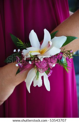 Wrist Corsage Prom Stock Photo 53543707 : Shutterstock