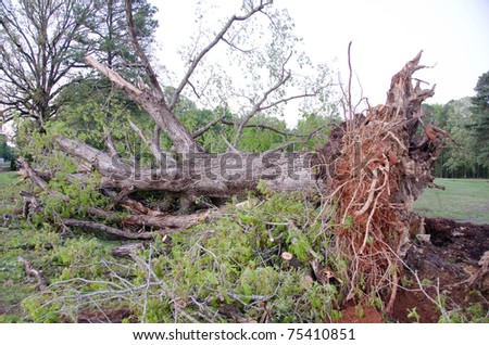 HOLLY SPRINGS, NC, USA - APRIL 16: A tornado caused severe damage to the town of Holly Springs on April 16, 2010 in Holly Springs, NC, USA