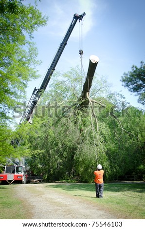 HOLLY SPRINGS, NC, USA - APRIL 18: After a tornado  a crane is removing a tree that fell on a home in the town of Holly Springs on April 18, 2010 in Holly Springs, NC, USA