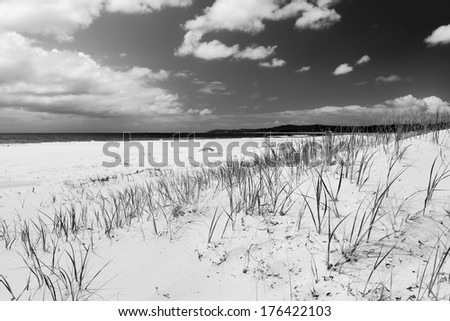 Bright blue sky with white sand and green grass on the sand dunes in stunning black and white
