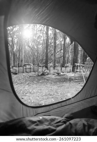 Sunrise through the woods out camping as viewed from inside a tent in black and white