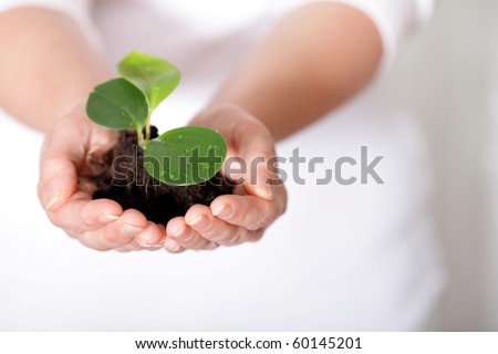 Isolated shot of a fresh shoot, growing from a small pile of earth held in hands.