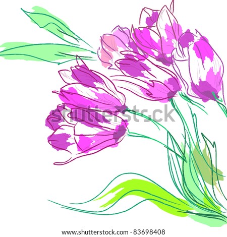 Flowers tulips with leaves on a white background. Floral background, greeting card.
