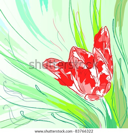 Flower tulip with leaves. Floral background, greeting card.