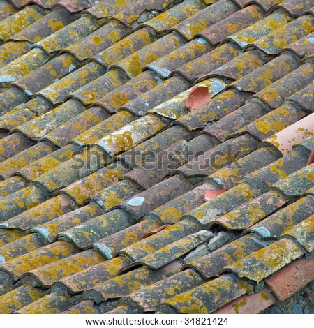 Roof tiles gathering moss
