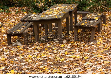 picnic table and ground covered in autumn leaves