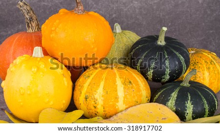 Autumn harvest bright decorative pumpkins.