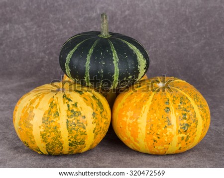 Autumn harvest bright decorative pumpkins.