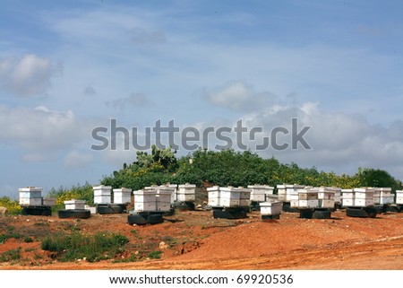 bee houses on green hill
