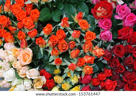 Bouquet of colorful roses in flower shop
