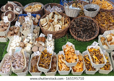 All kinds of mushrooms variety at farmers market