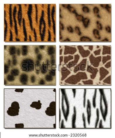 Six wild African animal skin texture collections