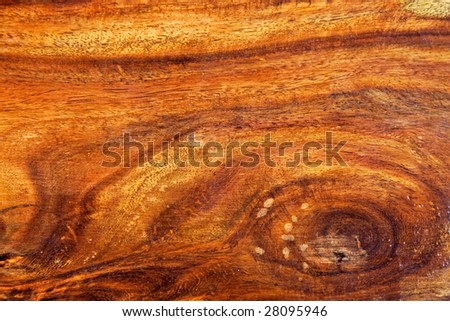 Background of knotted hard wood with texture