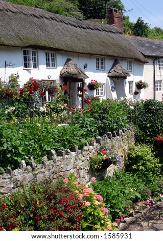 A row of whitewashed thatched cottages in a Devon village