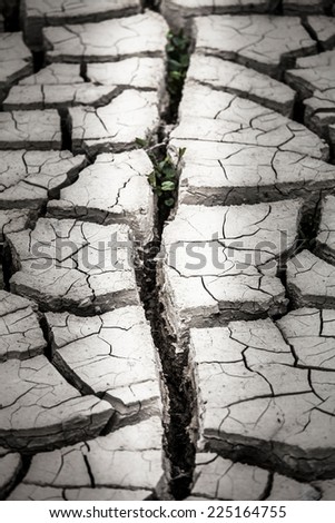 Dry land texture in desert