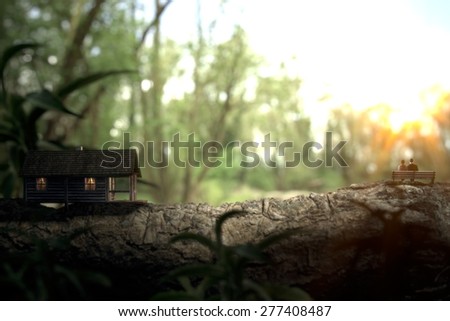 The photo shows a little green house built on a tree trunk and a loving couple sitting on a bench illuminated by the sun. Leave the daily town-living routine to stay in very close contact with nature.