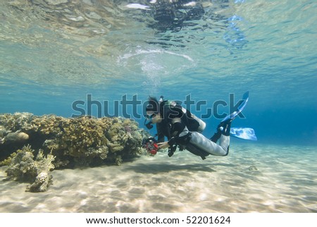 Young female diver in clear shallow water observing a coral reef. Sharm el Sheikh, Red Sea, Egypt.