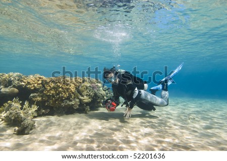 Young female diver in clear shallow water observing a coral reef. Sharm el Sheikh, Red Sea, Egypt.
