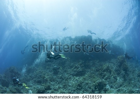 Big group of scuba divers underwater. Yolanda reef, Ras Mohamed National Park, Red Sea, Egypt.