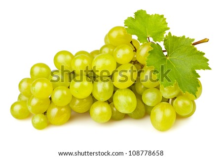 Similar – Image, Stock Photo Bunch of fresh grapes in bowl