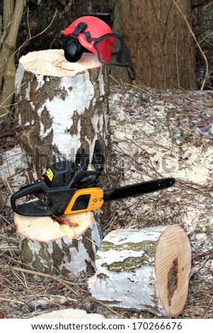 Chainsaw, safety equipment and cutting tree