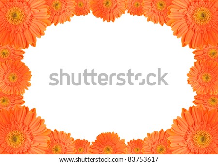 Orange daisy-gerbera flowers create an oval frame on white background