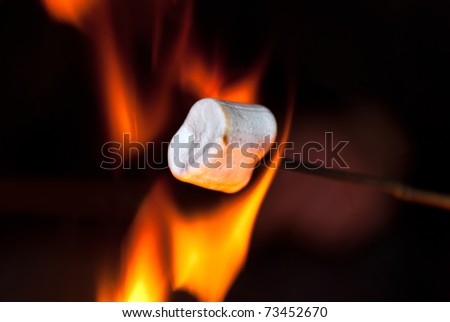 Marshmallow on a stick over the fire