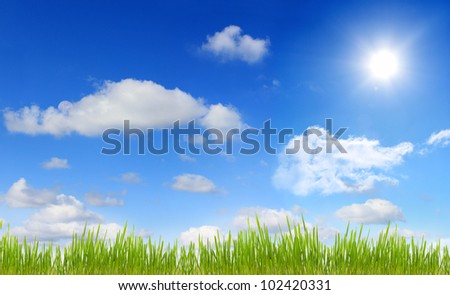 Panorama of sky sun grass and moon