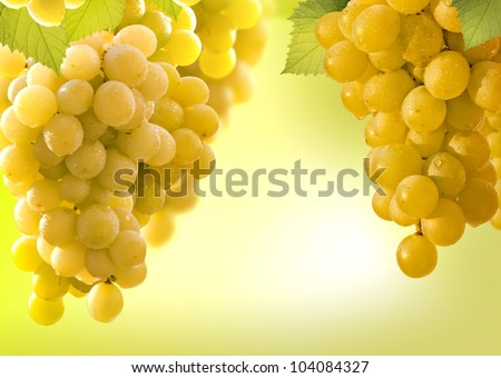 grapes vine border abstract background over white