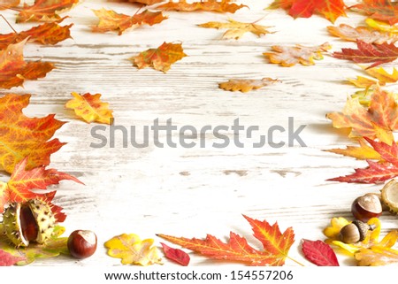 Autumn leaves on white boards background border
