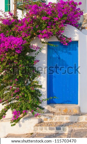 The classical architecture of the Greek cities - with its narrow streets, blue door on the white buildings and flowers at the entrance!