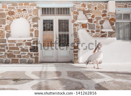 The famous pelican Petros from the island of Mykonos near the restaurant door